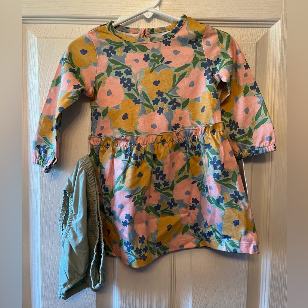 Baby Girl Ls Dress